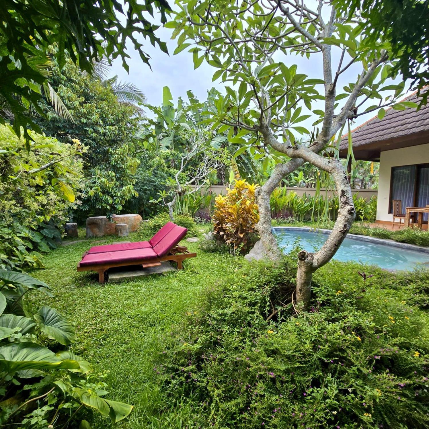 Royal Amertha Ubud Jungle View *